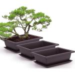 Vasi bonsai viola di plastica 