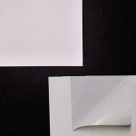 CASTERLI - Fogli A3, 100 fogli bianchi, formato A3, carta da 80 g, extra  bianca, carta multiuso per stampante A3 80 gsm (A3, 100 fogli)