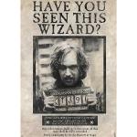 Poster neri di film Abystyle Harry Potter Sirius Black 