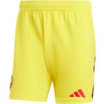 adidas Performance Adidas As Roma Kit Home Portiere 2023/2024 giallo L