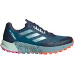 Adidas Terrex Agravic Flow 2 Goretex Trail Running Shoes Blu EU 48 Uomo