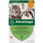 Antiparassitari per gatti Bayer Advantage 