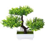 Vasi bonsai verdi 18 cm 