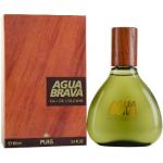 Antonio Puig, Agua Brava, Acqua di Colonia da uomo, 100 ml
