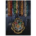 Coperte multicolore Harry Potter Hufflepuff 