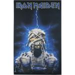 Poster musicali multicolore Iron Maiden 