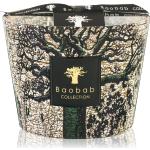 Candele profumate 10 cm Baobab 