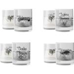 Bicchieri trasparenti di vetro Harry Potter 