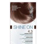 Bionike Shine On Trattamento colorante capelli 4.3 Castano Dorato