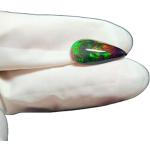 Opali eleganti multicolore di plastica 