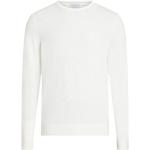 Maglie bianche S con girocollo per Uomo Calvin Klein 