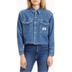 Camicie oversize classiche blu taglie comode di cotone manica lunga per Donna Calvin Klein Jeans 