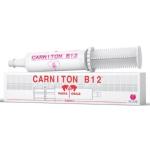 Carniton B12 Pasta Orale 1 Siringa 100 gr - Formato: 1 siringa 100 gr