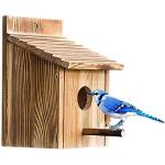 Articoli di legno per uccelli 