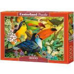 Puzzle classici da 3000 pezzi Castorland 