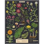 Cavallini 1000 Piece Puzzle, Herbarium (PZL/Herbarium)