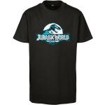 Mister Tee Jurassic World Logo Short Sleeve Round Neck T-shirt Nero 146-152 cm Ragazzo