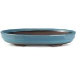 Certrè - Vaso Bonsai Ovale in Gres, Modello Roma, Made in Italy, Colore Azzurro Cielo (Smaltato)| 28,5x20x4,5 cm