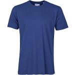 COLORFUL STANDARD CLASSIC ORGANIC TEE ROYAL BLUE SIZE L