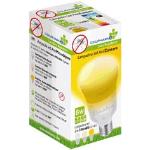 Lampadine gialle a LED 