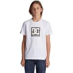 T-shirt manica corta bianche 15/16 anni di cotone mezza manica per bambino Quiksilver di Amazon.it Amazon Prime 