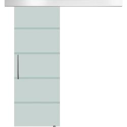 DecHome Porta Scorrevole In Vetro Temperato Smerigliato con Binario e Maniglia 90x205 cm - E7000D