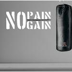 DesignDivil No Pain No Gain Fitness Combat Sport Adesivi da Parete 2 Misure/3 Opzioni di Colore, White/Black Stripe