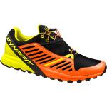 Dynafit Alpine Pro - scarpe trail running - uomo