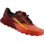 Dynafit Alpine - scarpe trail running - uomo