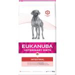 Eukanuba Cane intestinale 12kg + sorpresa per il cane GRATIS
