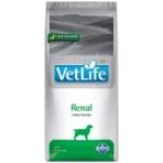 Farmina Vet Life Canine Renal 12kg x2