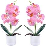 Vasi rosa per orchidee 34 cm 