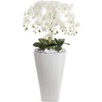 Vasi bianchi per orchidee diametro 120 cm 120 cm 