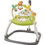 Fisher Price Jumpe Roo Rainforest Woodland Friends