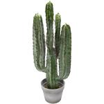 Cactus verdi 26 cm 