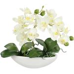 Vasi bianchi per orchidee 27 cm 