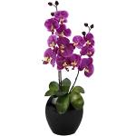 Vasi rosa scuro per orchidee 12 cm Flair 