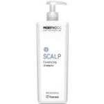 Shampoo menta Bio rigeneranti con olio essenziale di menta piperita texture olio 