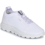 Sneakers basse larghezza D scontate bianche numero 35 con tacco da 3 cm a 5 cm per Donna Geox 