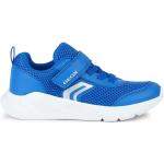 Geox Sneakers Ragazzo Colore Blu