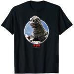 Godzilla 1984 The Return of Godzilla Icons of Toho