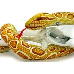 Peluche in peluche a tema serpente 150 cm 