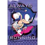 Poster di videogiochi Sonic The Hedgehog 