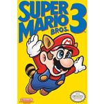 Poster multicolore di videogiochi Erik Super Mario Mario 