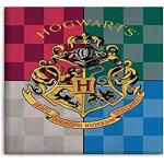 Coperte di pile Harry Potter Hogwarts 