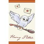 Asciugamani multicolore 30x50 di spugna da bagno Harry Potter Hedwig 
