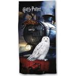 Logoshirt - Harry Potter - Gufo - Hedwig - Lettera - Tagliere - Multicolore  - Design Originale Concesso su Licenza