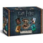 Cinereplicas Harry Potter - GiraTempo - Licenza Ufficiale : :  Giochi e giocattoli