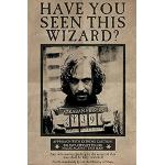 Poster giganti multicolore Harry Potter Sirius Black 