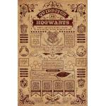 Harry Potter - Quidditch at Hogwarts - Poster - Unisex - multicolore
